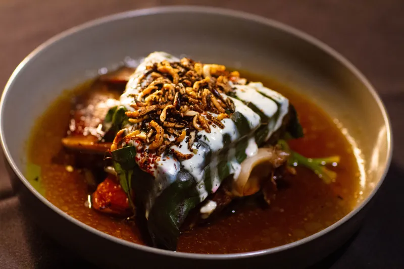 Vine-leaf-wrapped fish dolma with yoghurt and crispy shallots in a dark bowl